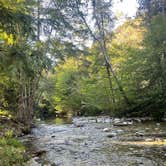 Review photo of Pfeiffer Big Sur State Park Campground by Matt R., May 14, 2022