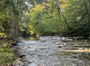 Pfeiffer Big Sur State Park Campground
