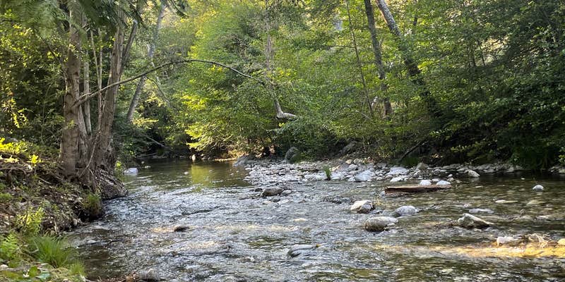 Camper submitted image from Pfeiffer Big Sur State Park Campground