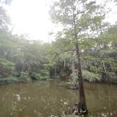 Review photo of Whites County Park Campground by Serena R., May 14, 2022