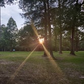 Review photo of Whites County Park Campground  by Serena R., May 14, 2022