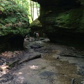 Review photo of Turkey Run State Park Campground — Turkey Run State Park by Michael , May 14, 2022