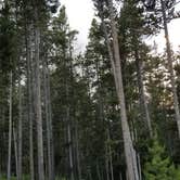 Review photo of Bighorn National Forest Sibley Lake Campground by vanessa  G., July 13, 2018