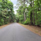 Review photo of Skidaway Island State Park Campground by Mike N., May 14, 2022