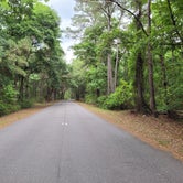 Review photo of Skidaway Island State Park Campground by Mike N., May 14, 2022