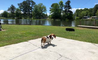 Lisa's photo of camping with pets at Angels Landing Campground in South Carolina