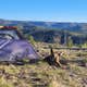 FR738 Dispersed Camping