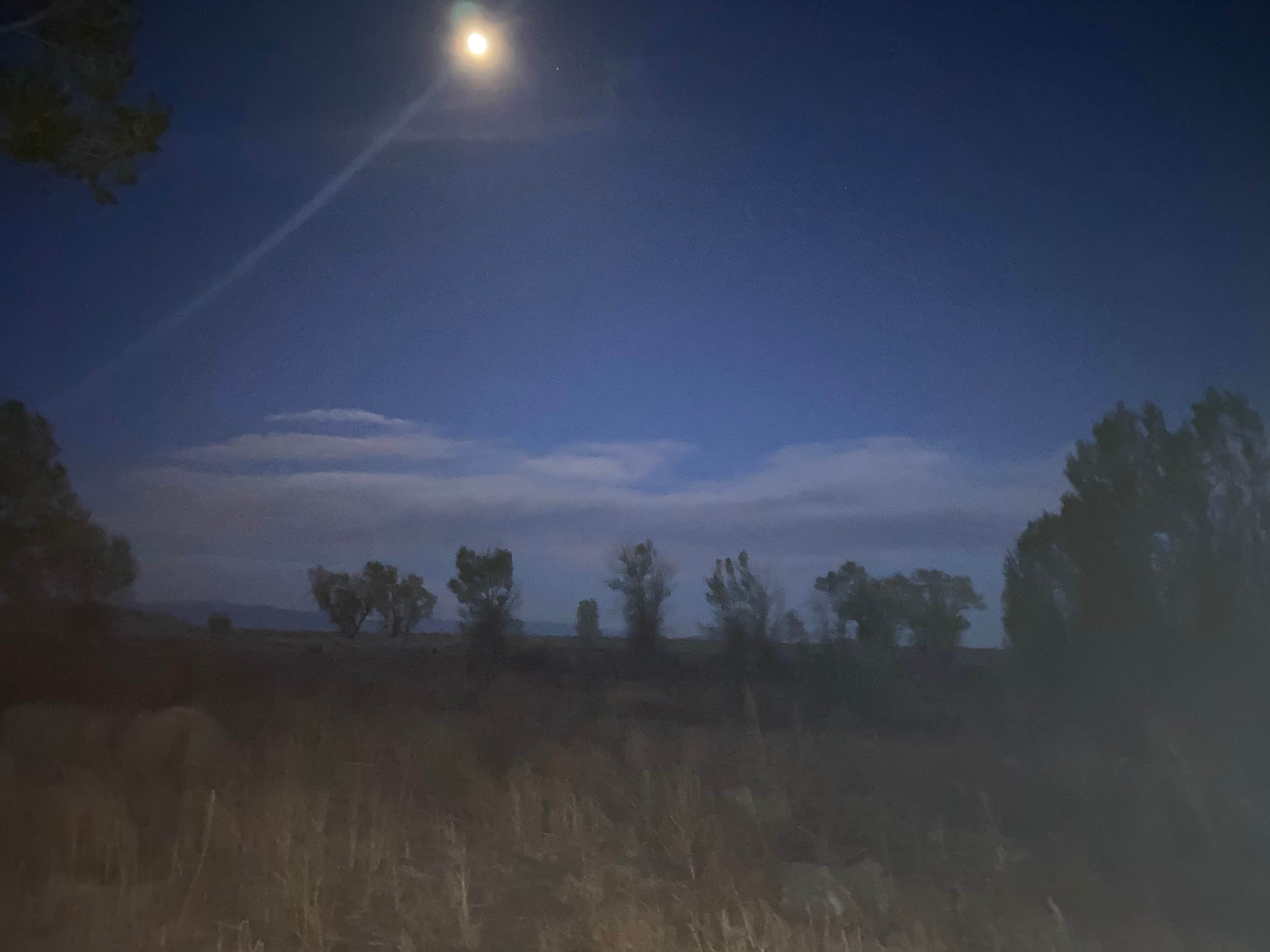 Camper-submitted photo at The Chicken Ranch near La Jara, CO