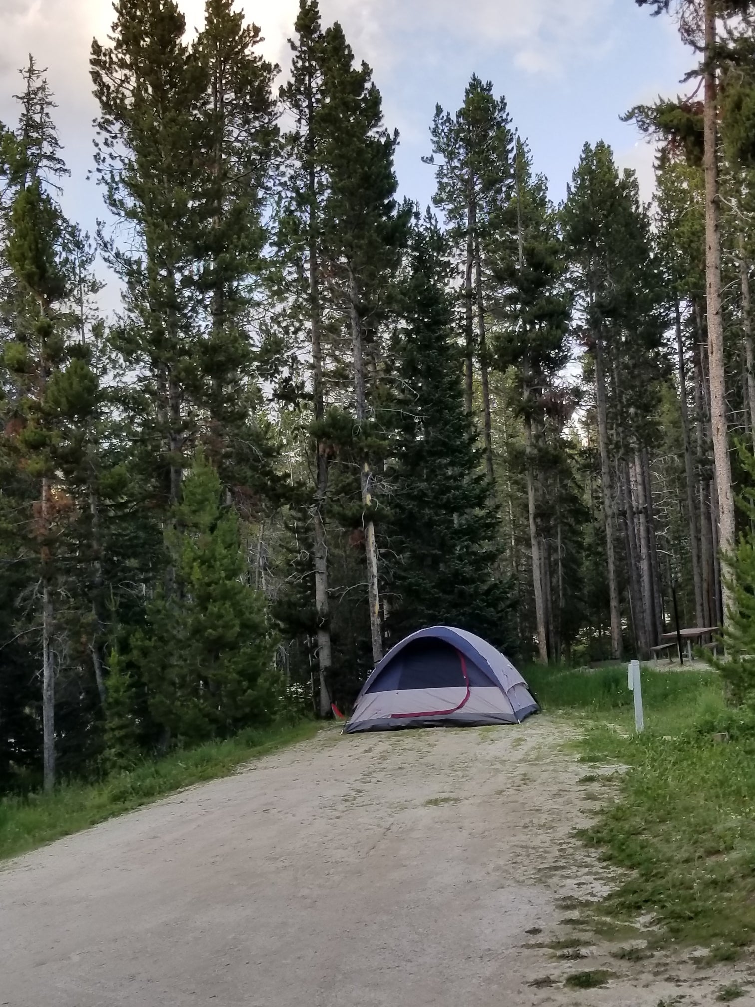 Camper submitted image from Bighorn National Forest Sibley Lake Campground - 5