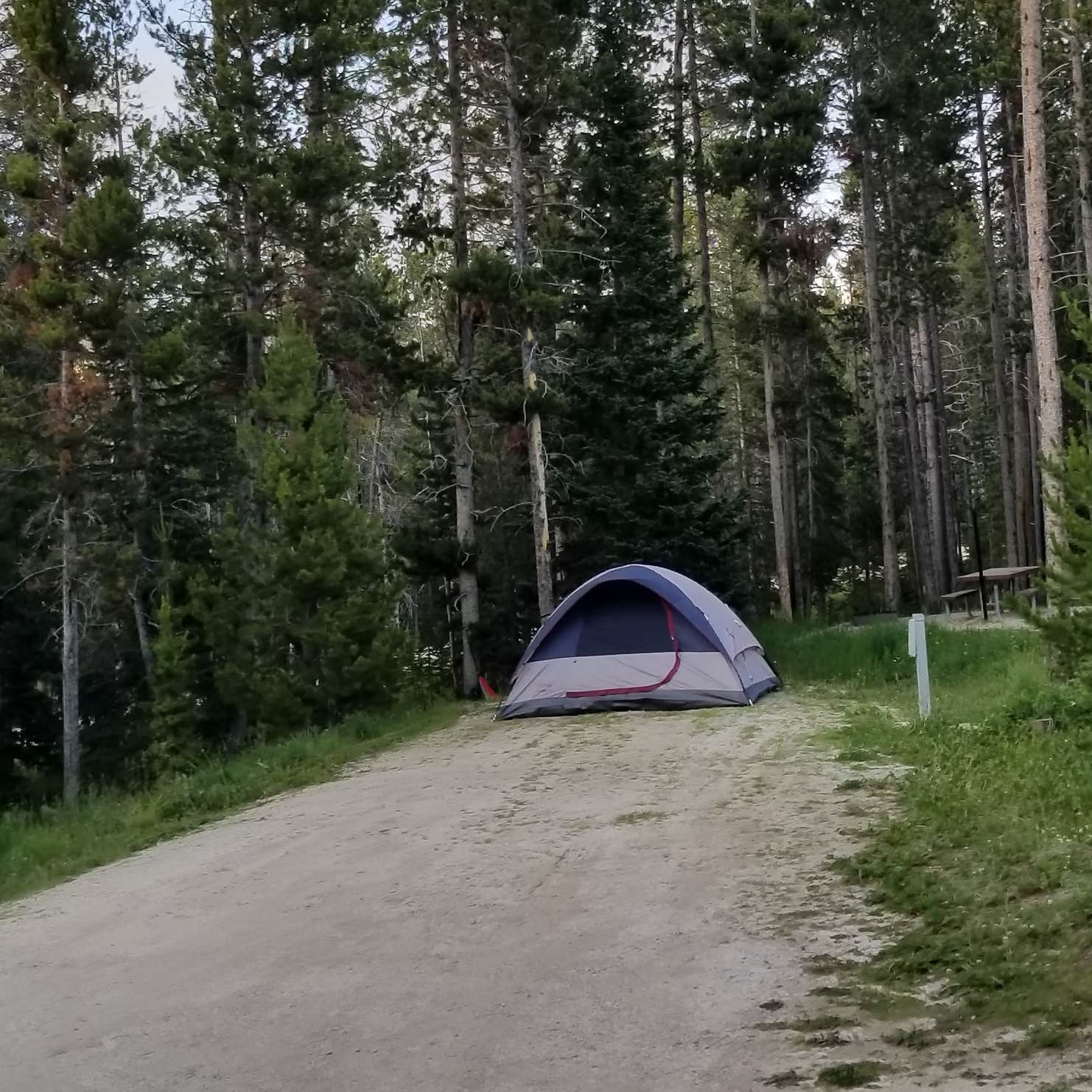 Bighorn National Forest Sibley Lake Campground Camping The Dyrt