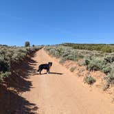 Review photo of BLM 17B Road Dispersed Overlander by Greg L., May 14, 2022