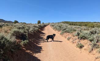 Greg L.'s photo of camping with pets at BLM 17B Road Dispersed Overlander near Dinosaur National Monument