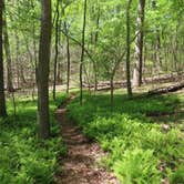 Review photo of Elk Neck State Park Campground by achoo , May 14, 2022