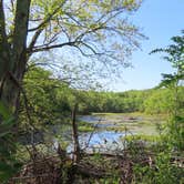 Review photo of Elk Neck State Park Campground by achoo , May 14, 2022