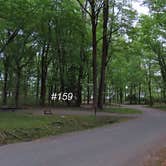 Review photo of Elk Neck State Park Campground by achoo , May 14, 2022