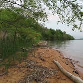 Review photo of Elk Neck State Park Campground by achoo , May 14, 2022