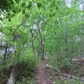 Review photo of Elk Neck State Park Campground by achoo , May 14, 2022