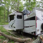 Review photo of Elk Neck State Park Campground by achoo , May 14, 2022