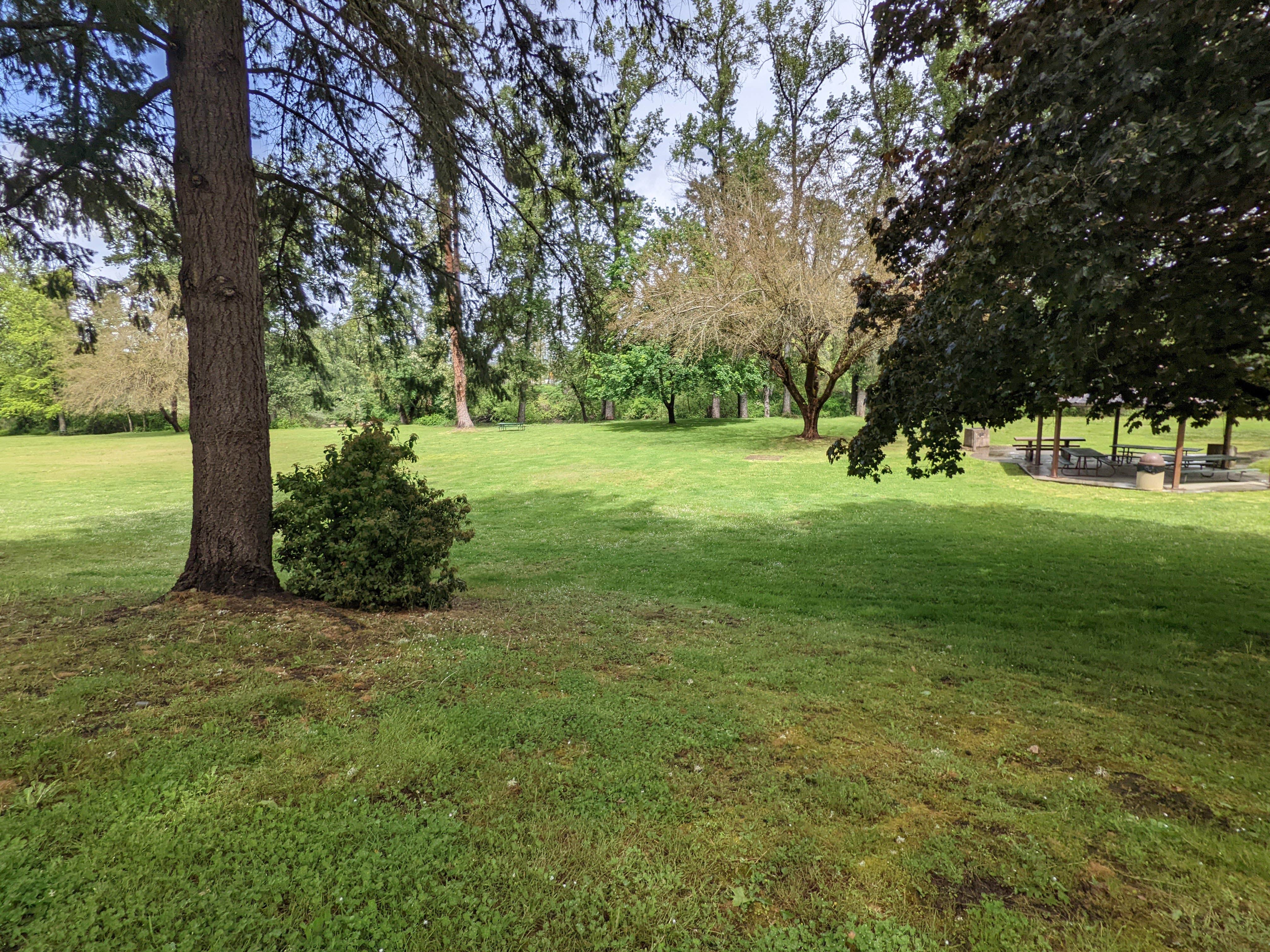 Camper-submitted photo at Schroeder Park near Gold Hill, OR