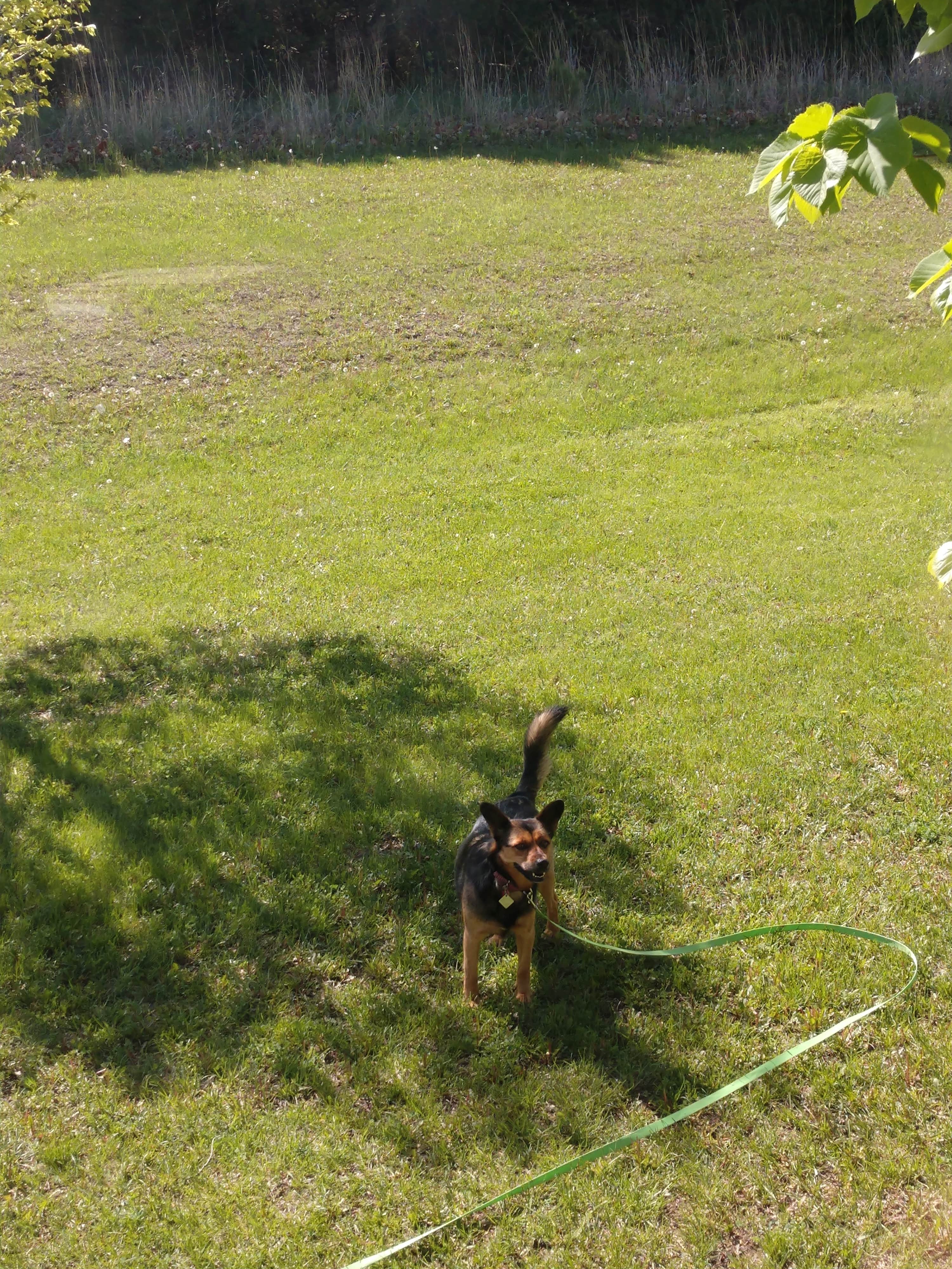Camping near Lancaster Event Center: Wagon Train State Recreation Area, Hickman, Nebraska