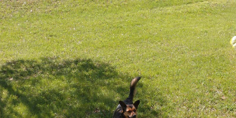 Camper submitted image from Wagon Train State Recreation Area