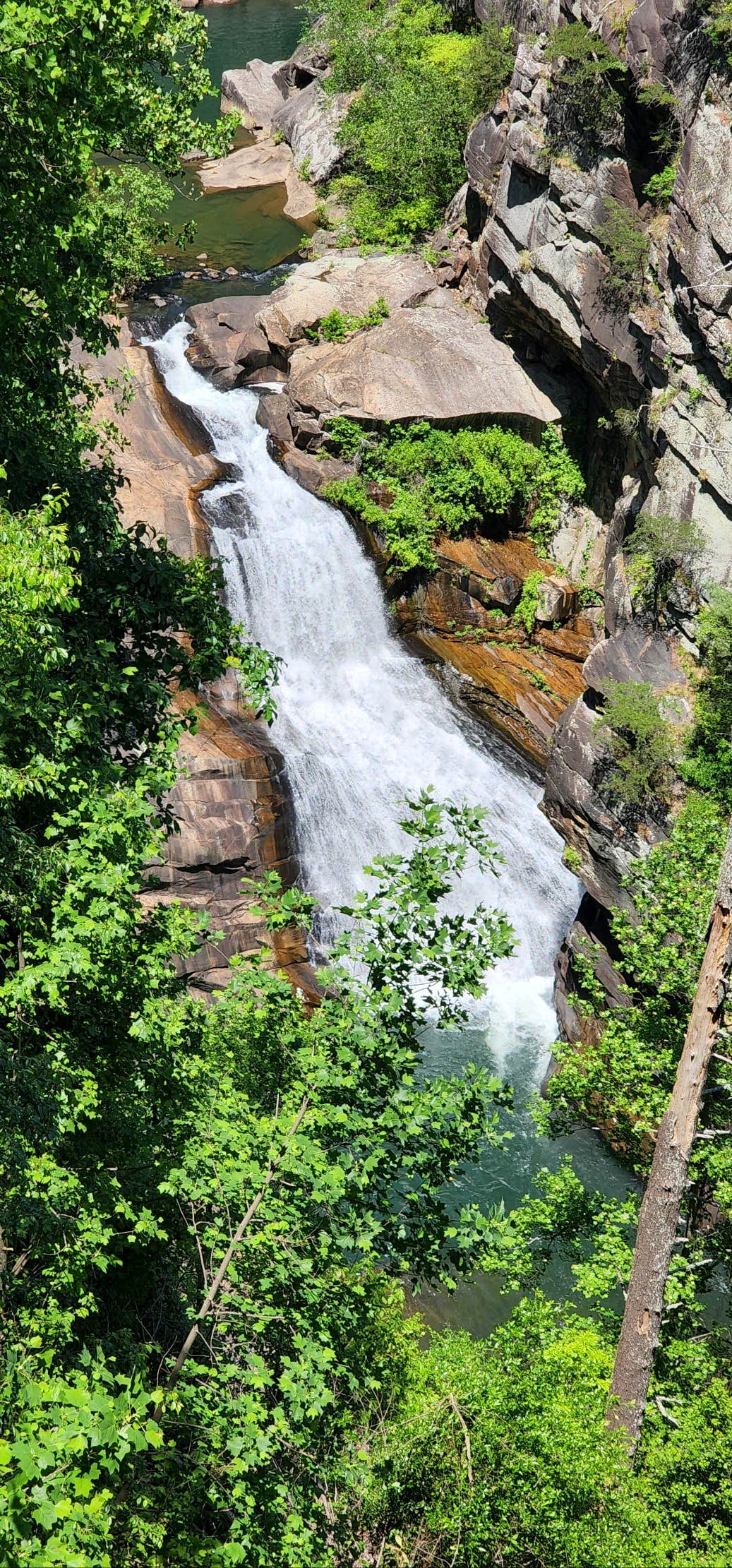 Camper-submitted photo at Terrora Park Campground near Long Creek, SC