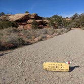 Review photo of Wooden Shoe Group Campsite — Canyonlands National Park by Laura M., May 14, 2022
