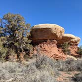 Review photo of Wooden Shoe Group Campsite — Canyonlands National Park by Laura M., May 14, 2022