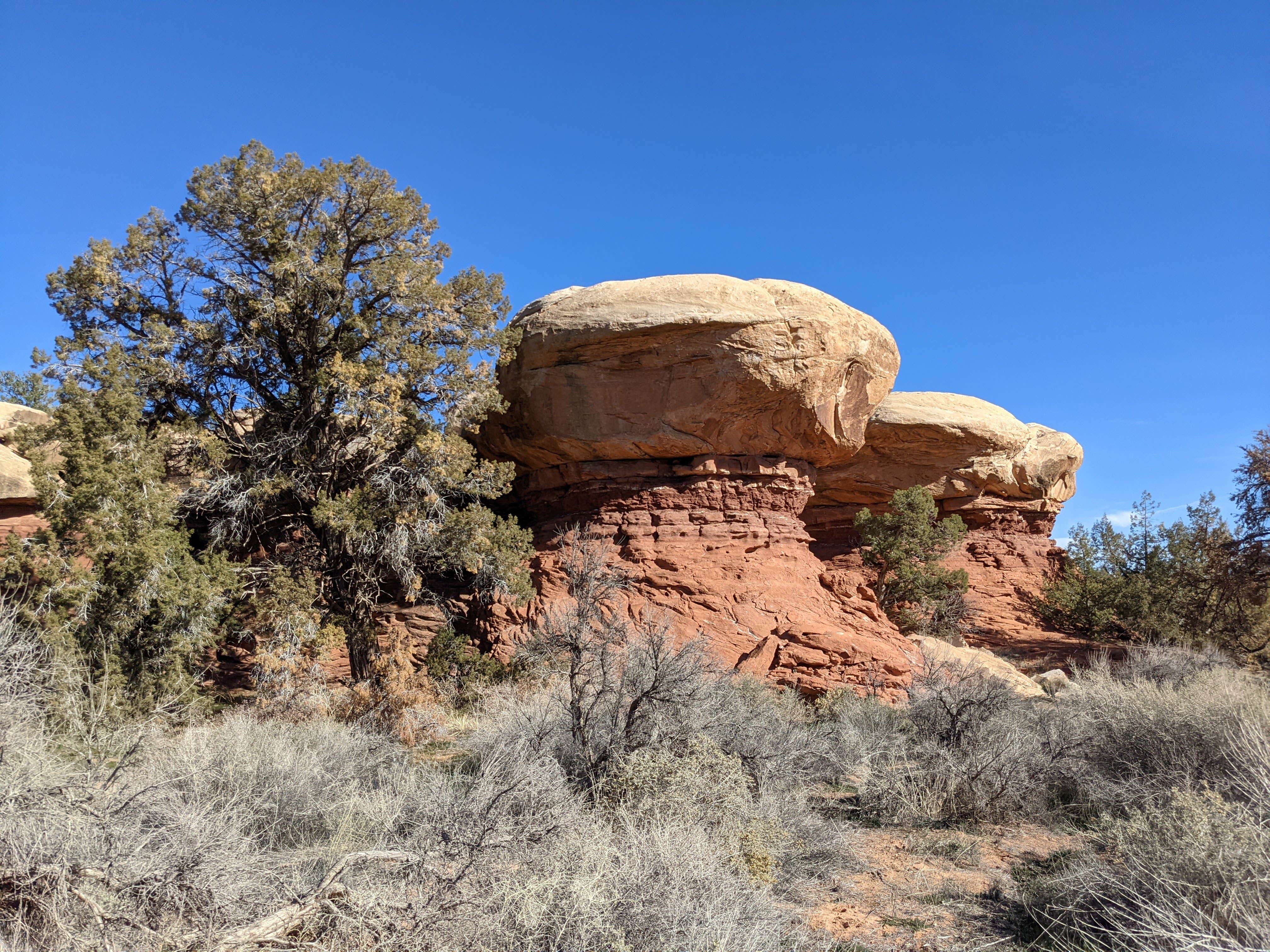 Camper submitted image from Wooden Shoe Group Campsite — Canyonlands National Park - 2