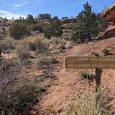 Review photo of Wooden Shoe Group Campsite — Canyonlands National Park by Laura M., May 14, 2022