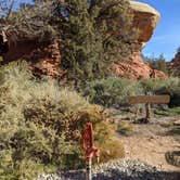 Review photo of Wooden Shoe Group Campsite — Canyonlands National Park by Laura M., May 14, 2022