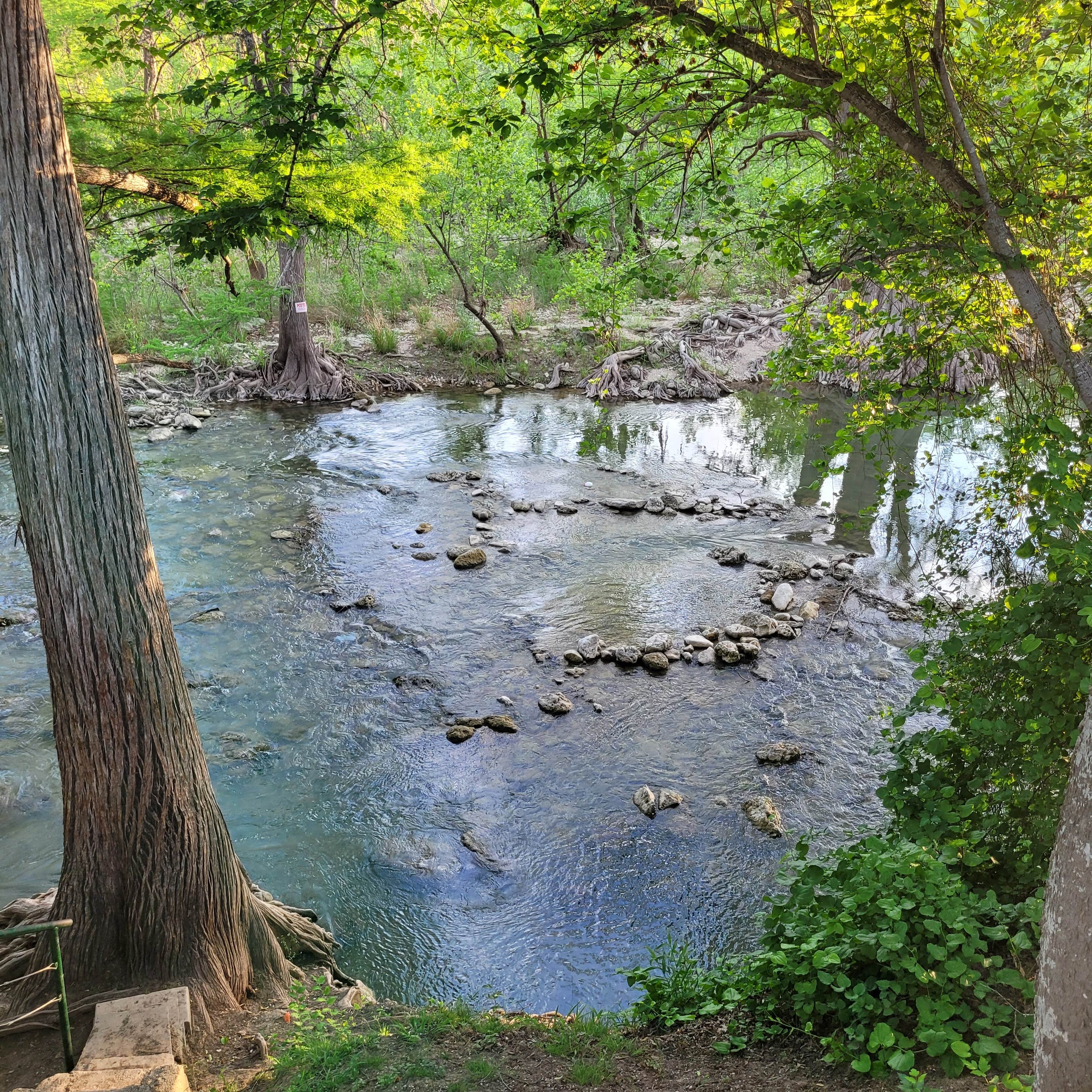 Lazy L & L Campground | New Braunfels, TX