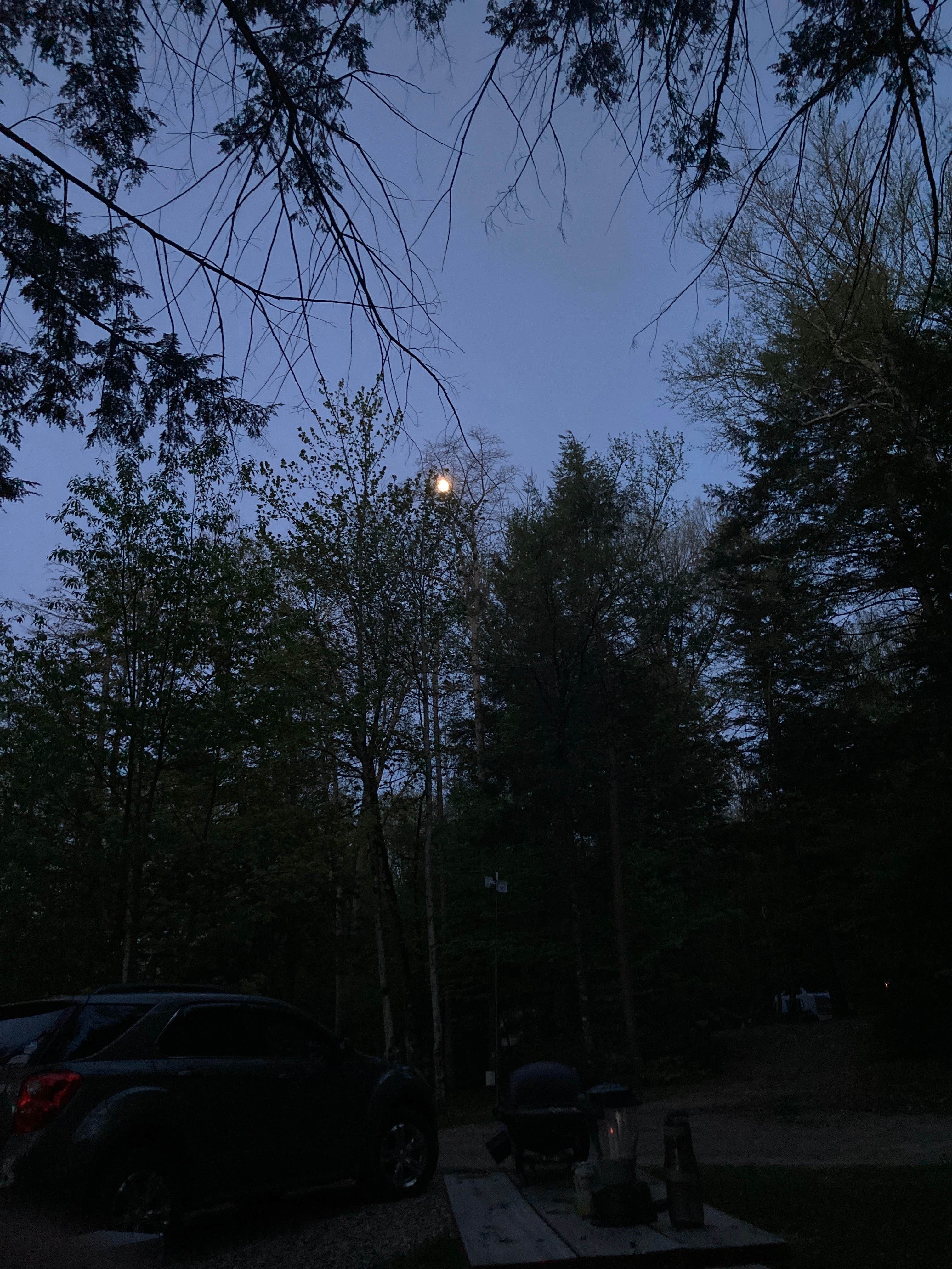 Camper-submitted photo at Northampton / Springfield KOA near Whately, MA