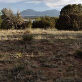 Review photo of Piñon Campground — Lathrop State Park by Donna H., May 14, 2022
