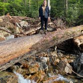 Review photo of Black Balsam Knob - Dispersed Camping by matt E., May 14, 2022