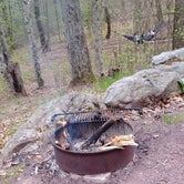 Review photo of Hickory Run State Park Campground by Benjamin A., May 14, 2022