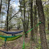 Review photo of Lake Wissota State Park Campground by Bobby C., May 14, 2022