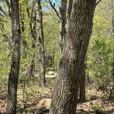 Review photo of Red Fox Campground — Minneopa State Park by sharon , May 15, 2022