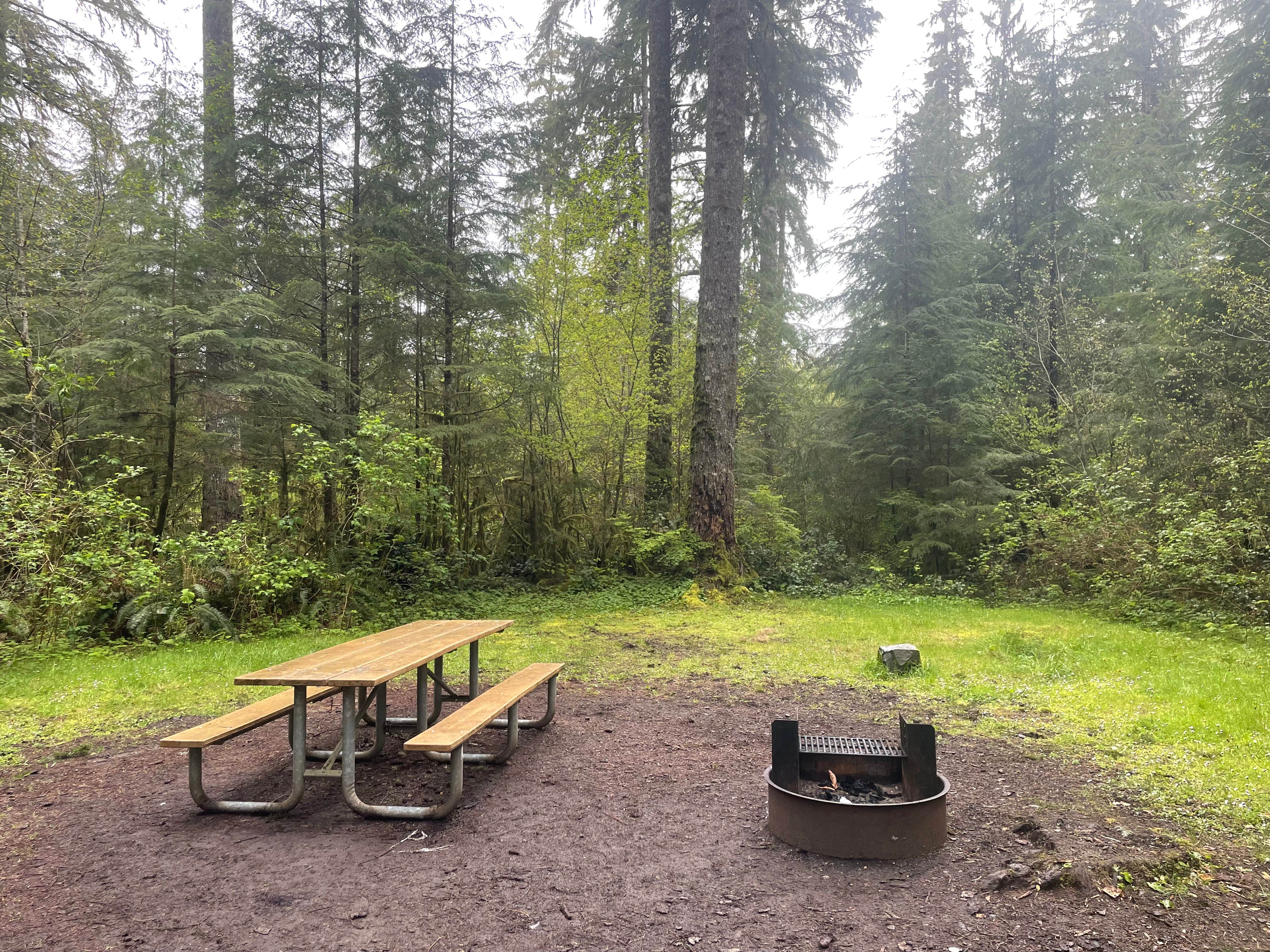 Camper-submitted photo at Bear Creek - State Forest near Beaver, WA