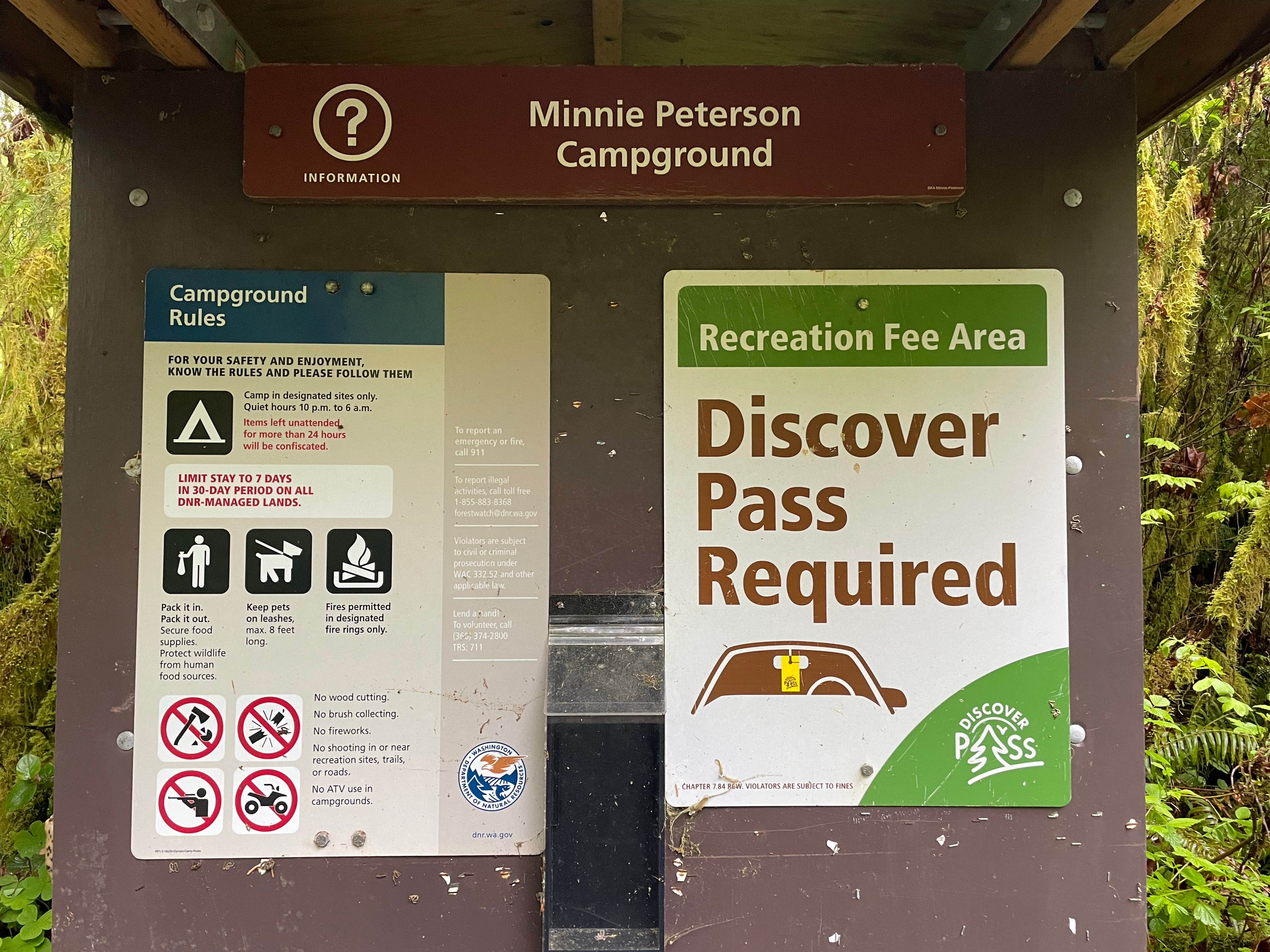 Camper submitted image from Minnie Peterson Campground - 4