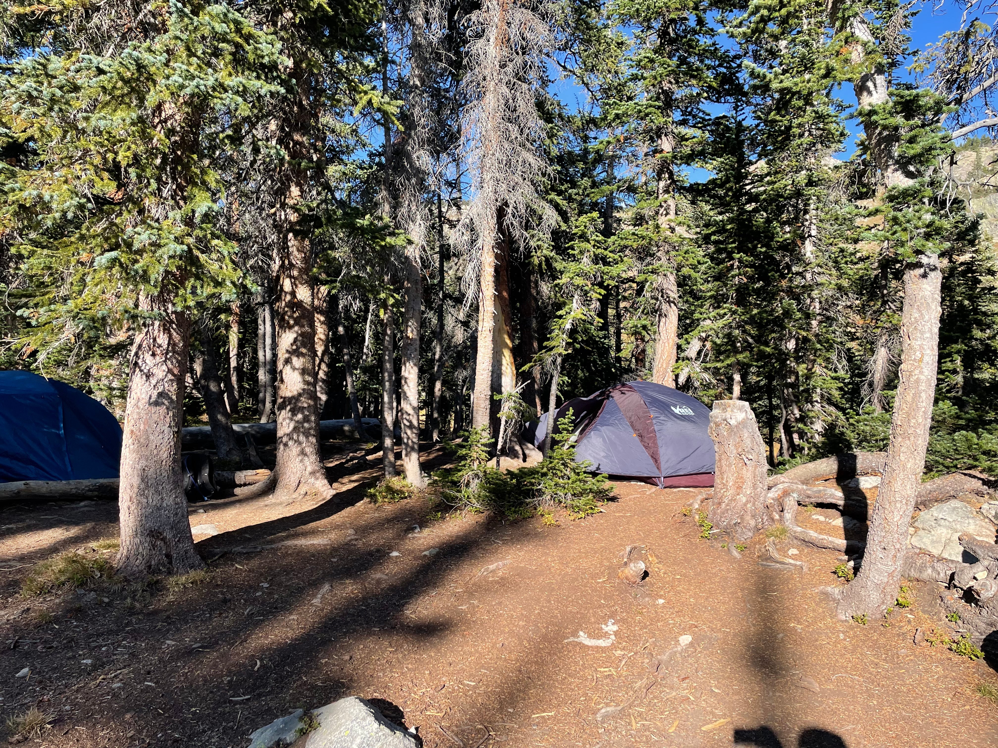 Camper submitted image from Diamond Lake  - 1