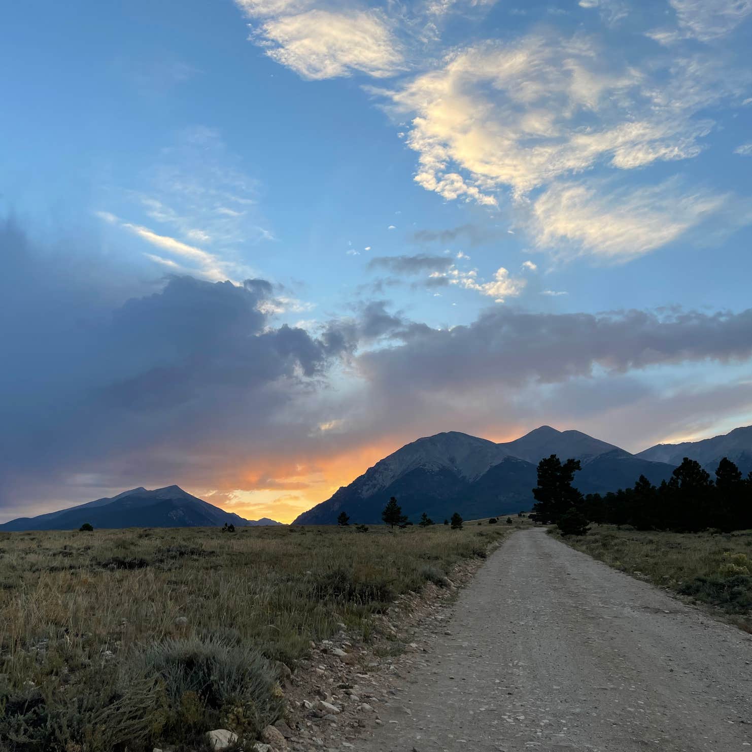 Mt. Shavano Wildlife Area Camping | The Dyrt