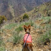 Review photo of Price Canyon Recreation Area by Jonathan J., May 15, 2022