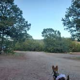 Review photo of Turquoise Trail Campground by Jonathan J., May 15, 2022