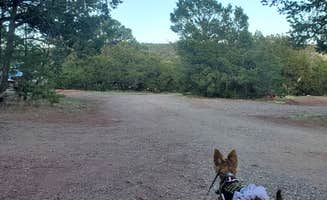 Jonathan J.'s photo of camping with pets at Turquoise Trail Campground near Tijeras, NM