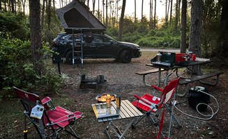 Andy B.'s photo at Stephen C. Foster State Park Campground near Hoboken, GA
