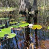 Review photo of Stephen C. Foster State Park Campground by Andy B., May 15, 2022