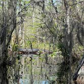 Review photo of Stephen C. Foster State Park Campground by Andy B., May 15, 2022