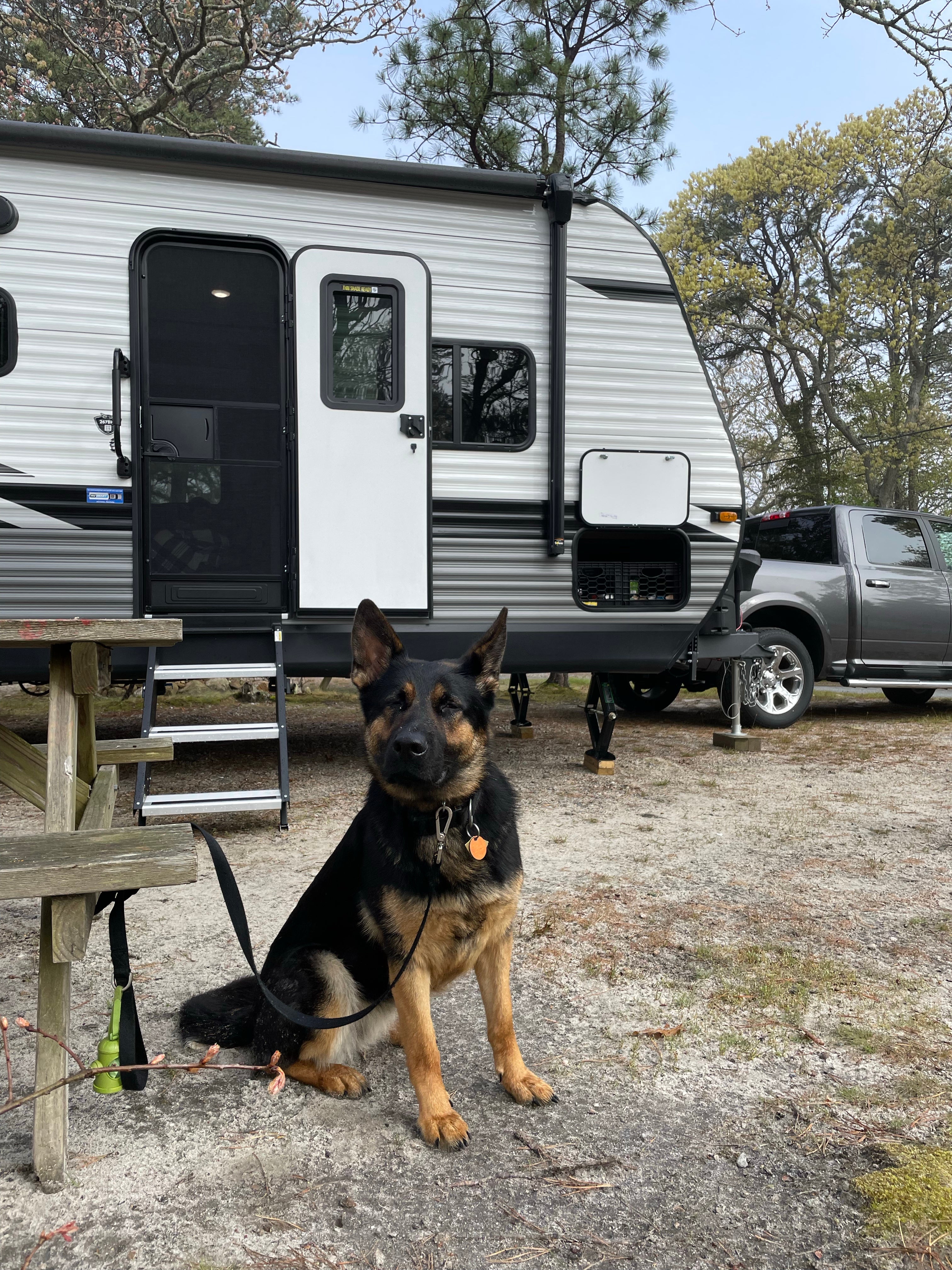 Camper submitted image from Bay View Campground - 1