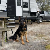 Review photo of Bay View Campground by Laurie , May 15, 2022